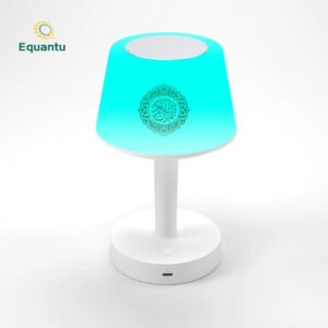 Equantu SQ917