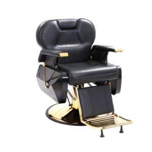 Chaise Barbier HZ8700BG