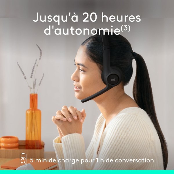 Logitech Zone 300