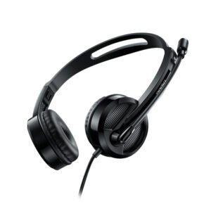 Casque Ordinateur Filaire Port USB – Rapoo H120 Noir