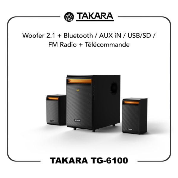 TAKARA TG-6100