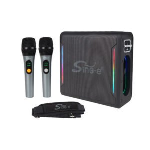 Enceinte / Mini Baffle Bluetooth Karaoké Avec Microphones – SING-E ZQS-V100