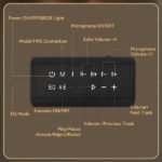 Enceinte / Mini Baffle Bluetooth Karaoké Avec Microphones – SING-E ZQS-V100