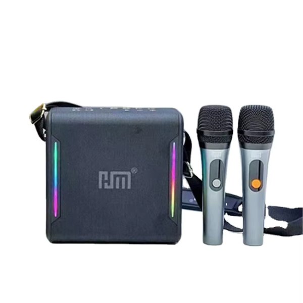Enceinte / Mini Baffle Bluetooth Karaoké Avec Microphones – Speaker HM-915