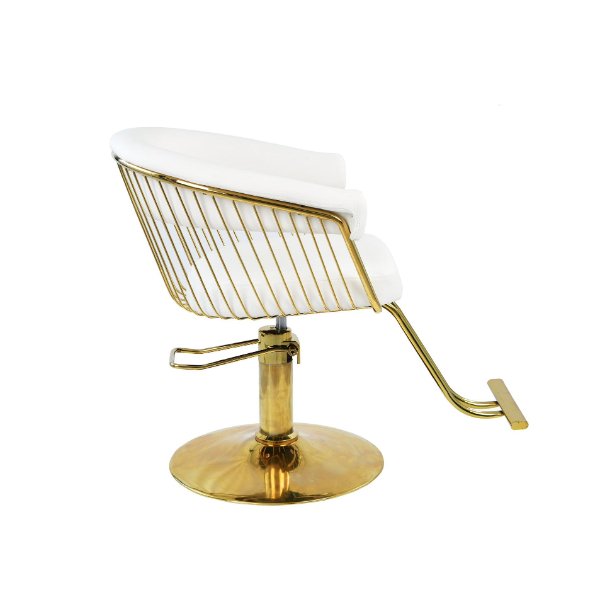 Chaise de barbier professionnelle inclinable avec pompe hydraulique et repose-pieds – Chaise Barbier HZ8809