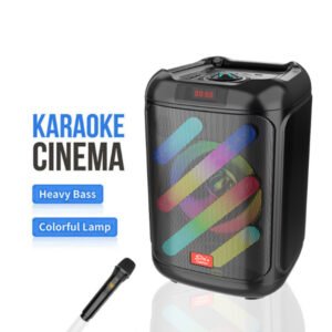 Enceinte/Baffle Bluetooth portable 8 pouces Rechargeable – SING-E ZQS-8162