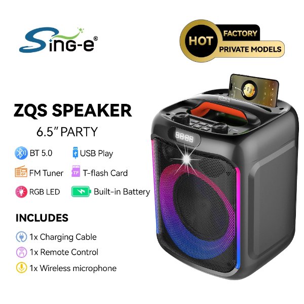 Enceinte/Baffle Bluetooth Rechargeable 30W 6.5 pouces avec micro sans fil et télécommande – SING-E ZQS-6170